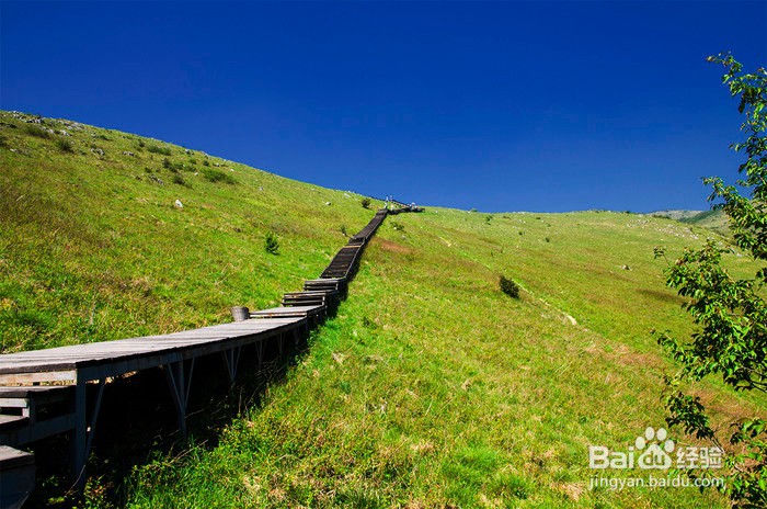 2020 汉中旅行攻略