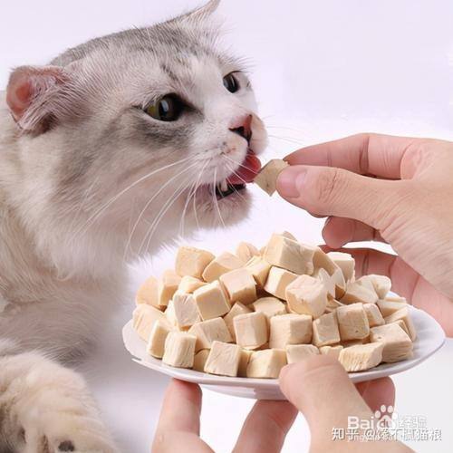 怎样给猫咪料理鸡胸肉吃?