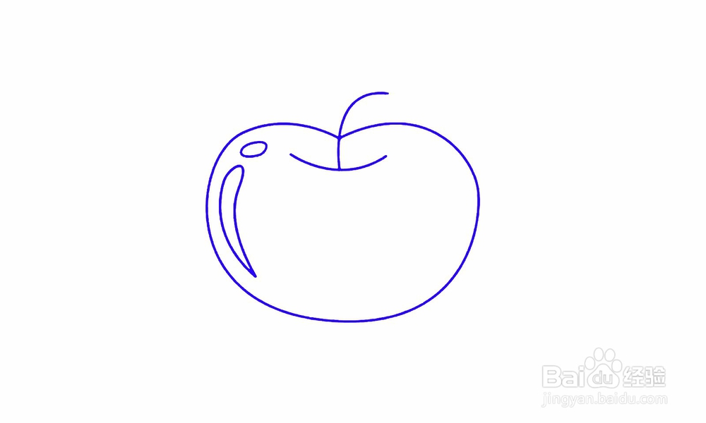 <b>简笔画苹果怎么画</b>