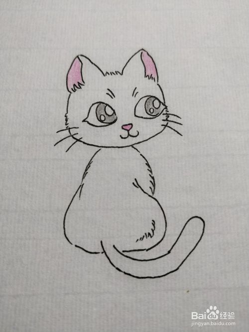 彩铅简笔画画小猫咪