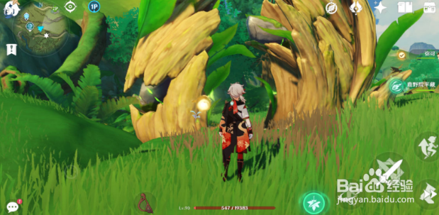 原神幻梦之门位置一览