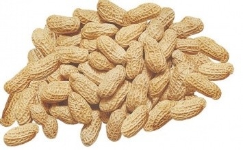 为什么花生对身体有好处