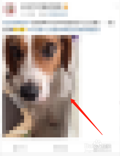 微博怎么关闭动态视频封面