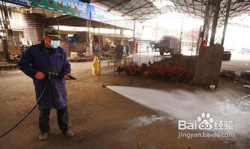 h7n9禽流感预防知识大全