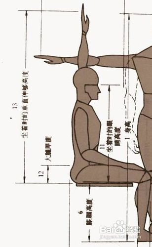 人体工程学——人体与室内