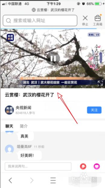 武大云赏樱怎么看