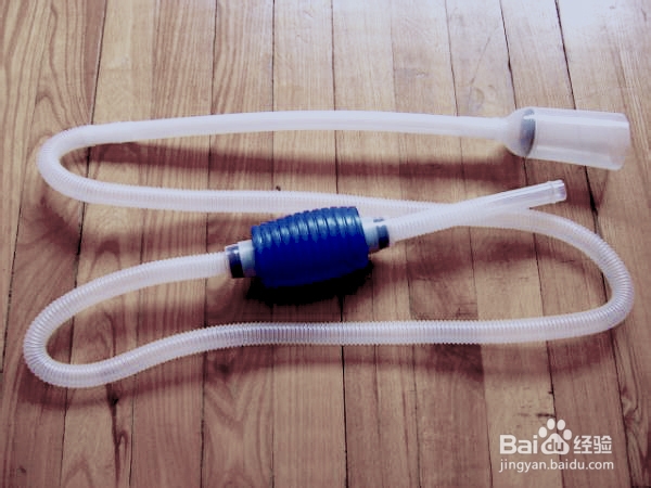 热带鱼怎么换水