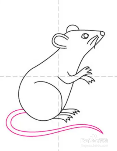如何画一只老鼠（怎样画一只老鼠）[图]