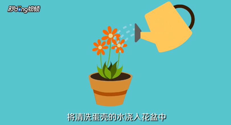 鸡蛋壳有什么用