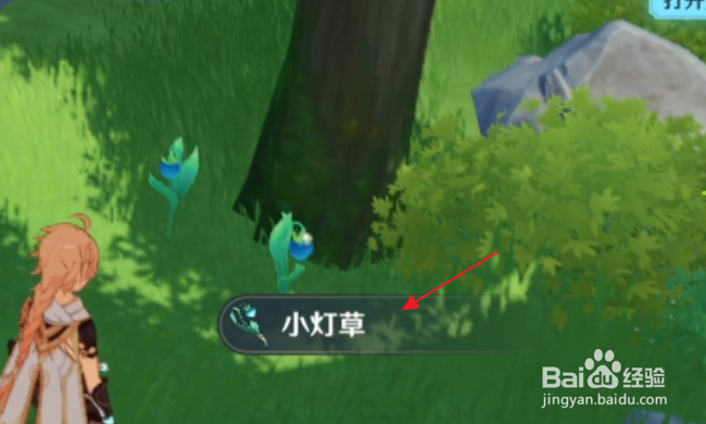 原神怎样采集小灯草