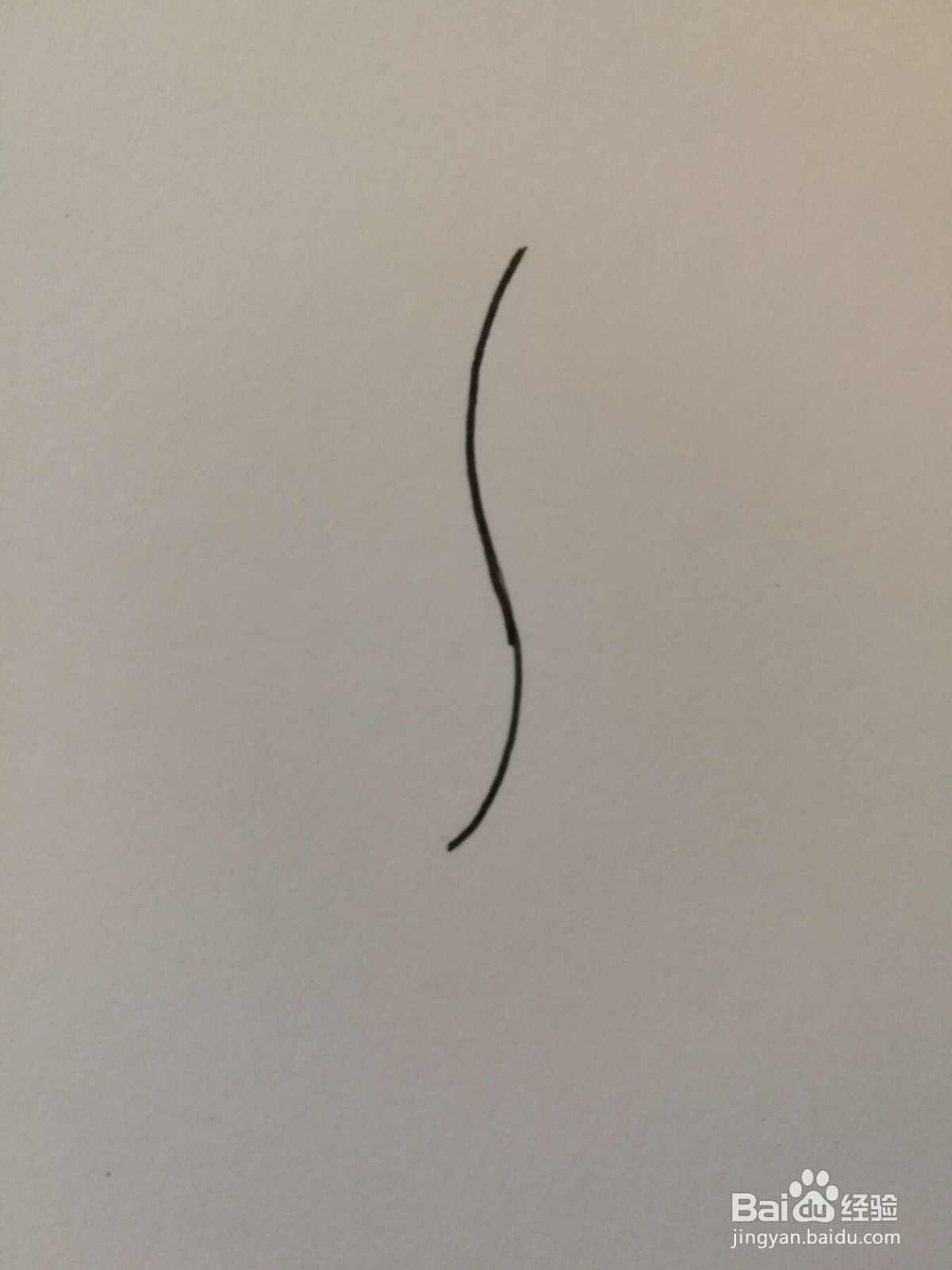 小草简笔画之画法八