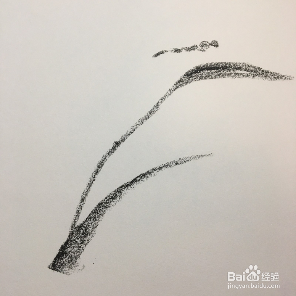 儿童油棒画：枝头上的蜓蜻