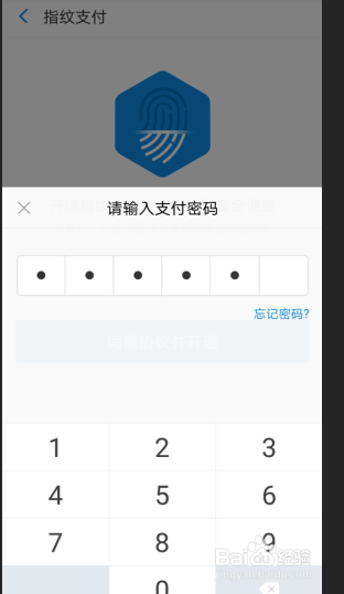 如何开通支付宝的指纹支付功能