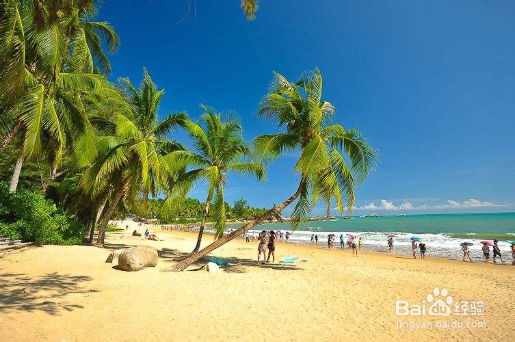 三亚五天怎么玩?网红红树林酒店+海鲜大餐