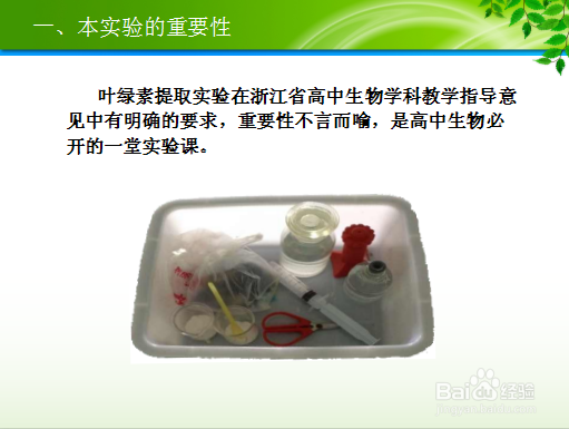 简易环保提取提取植物色素