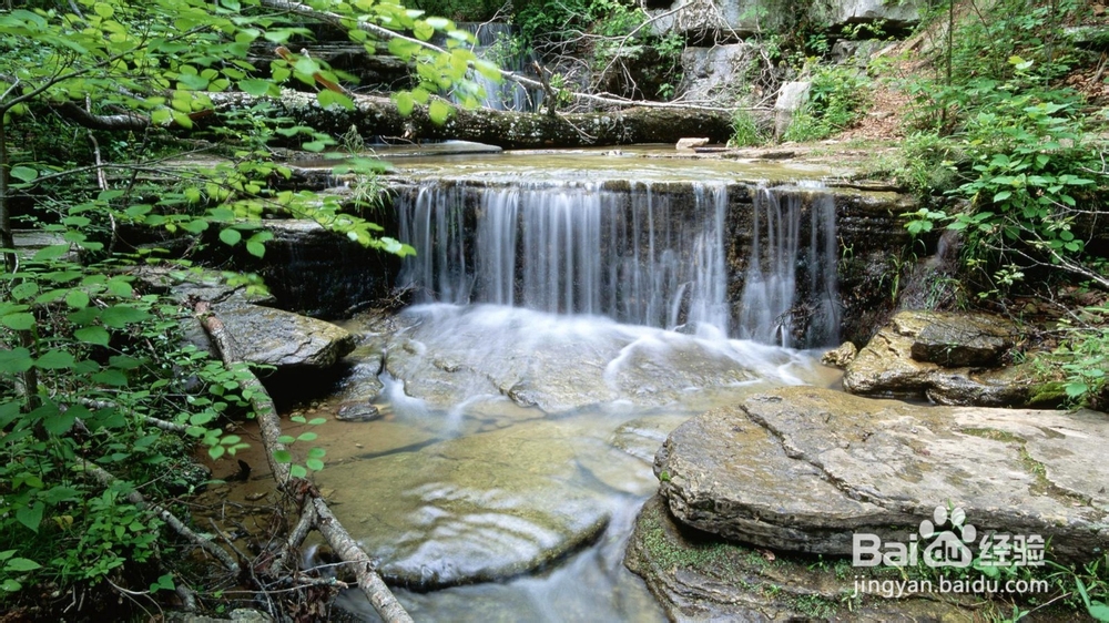 人活着为了什么