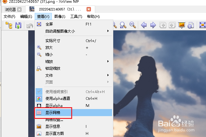 在如何在 XnViewMP中显示网格线