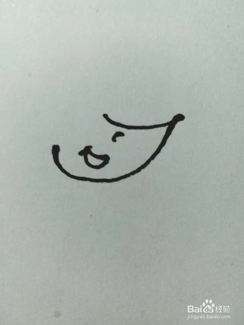 老鼠的简笔画法5