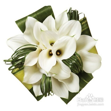 春夏季婚礼常用鲜花花语有哪些？