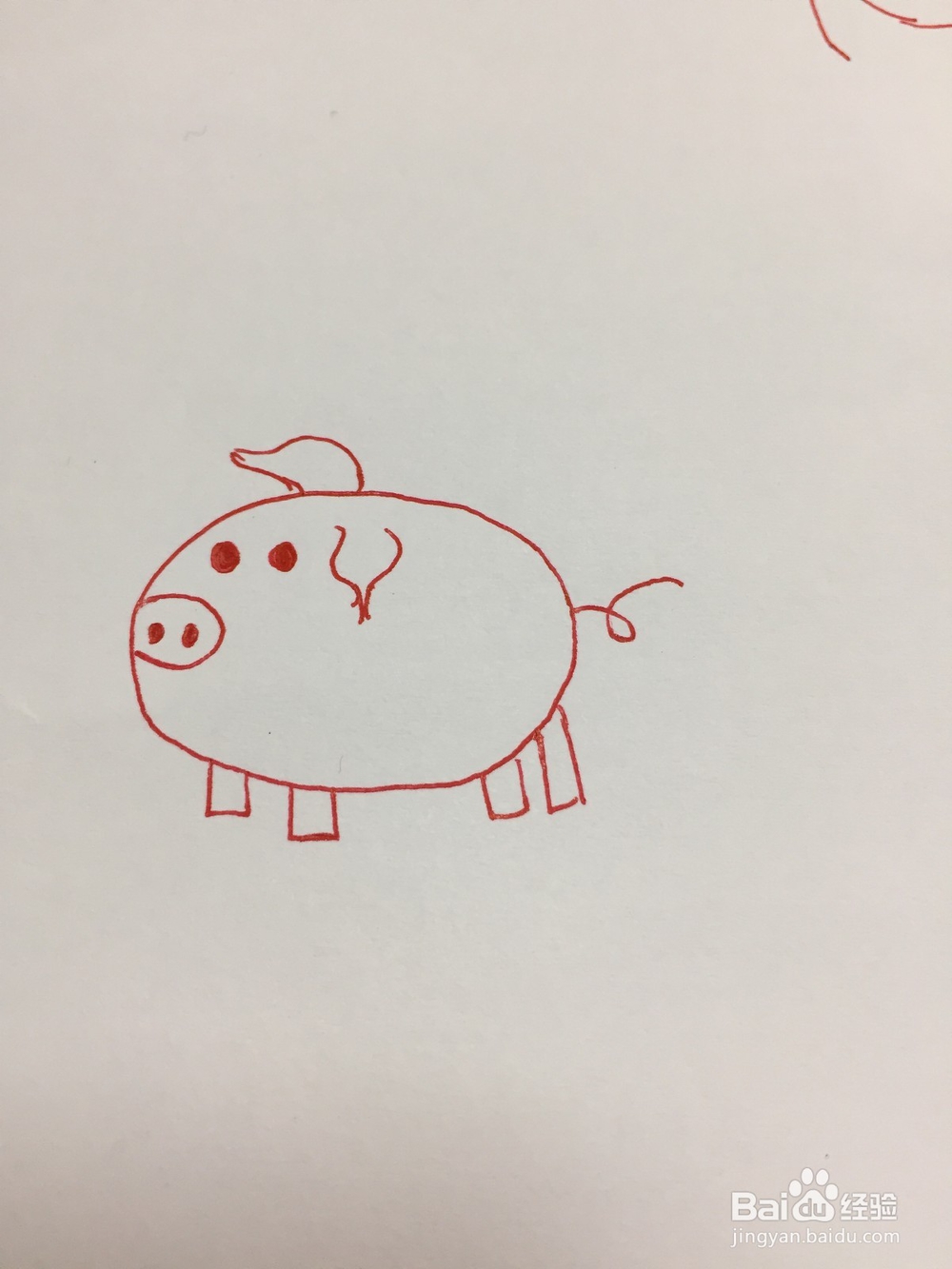 怎么画猪简单好学