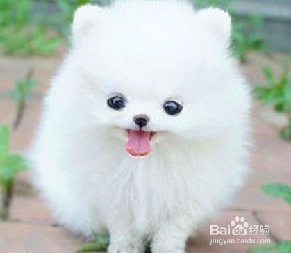 眼部都有哪些用药方式,该怎样用药