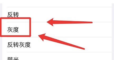 苹果缩放滤镜如何设置为灰度