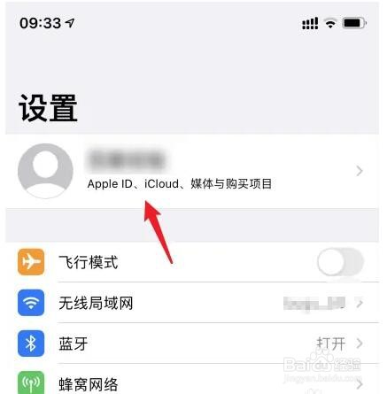 苹果云空间怎么打开