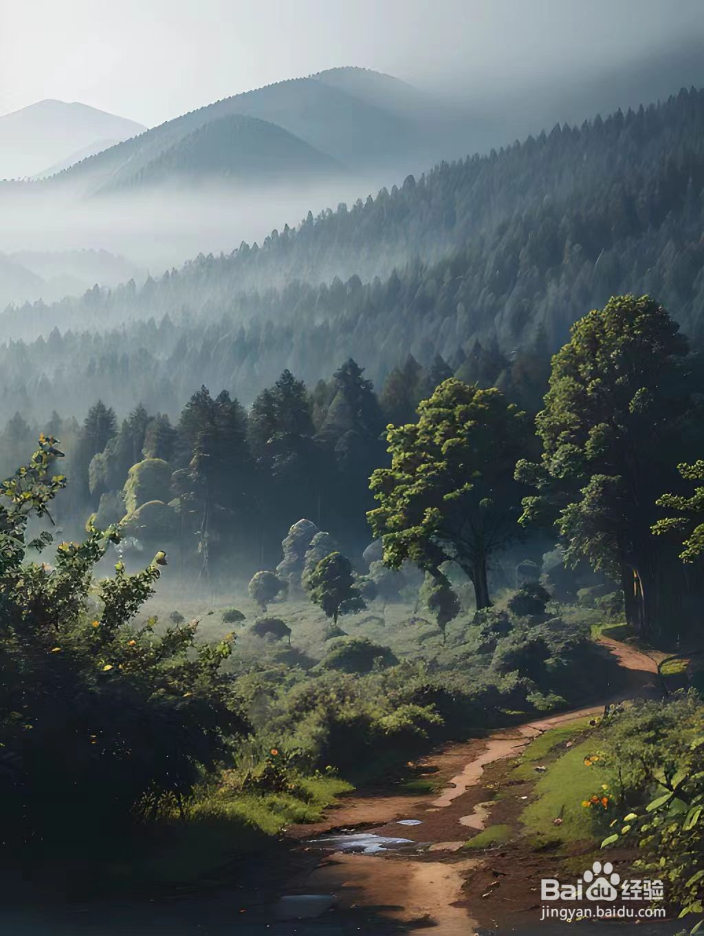 夏天的树木怎么形容