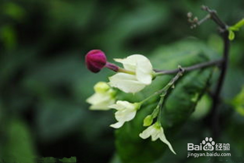 怎样照出完美照片