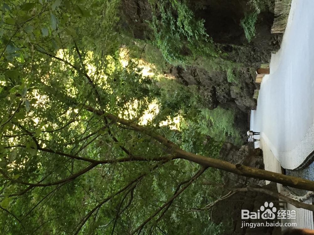 郊游如何记录下好心情