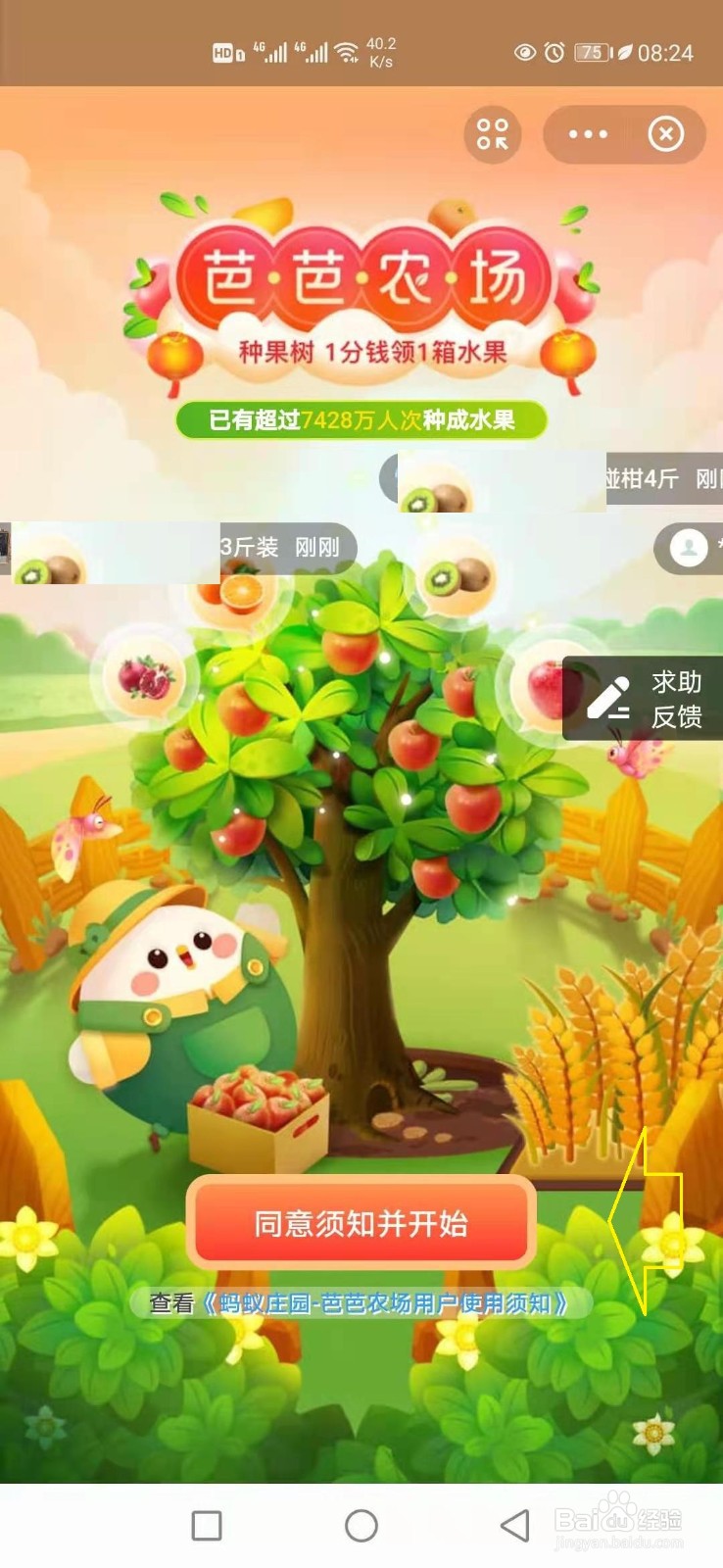 支付宝芭芭农场怎样种树领水果