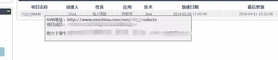 SVN China怎么使用