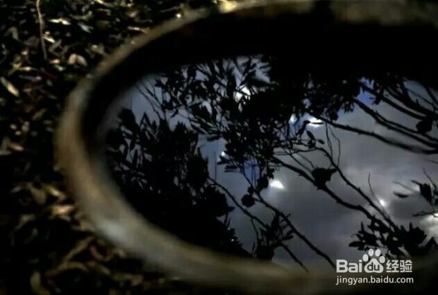 脸上长油脂粒怎么办