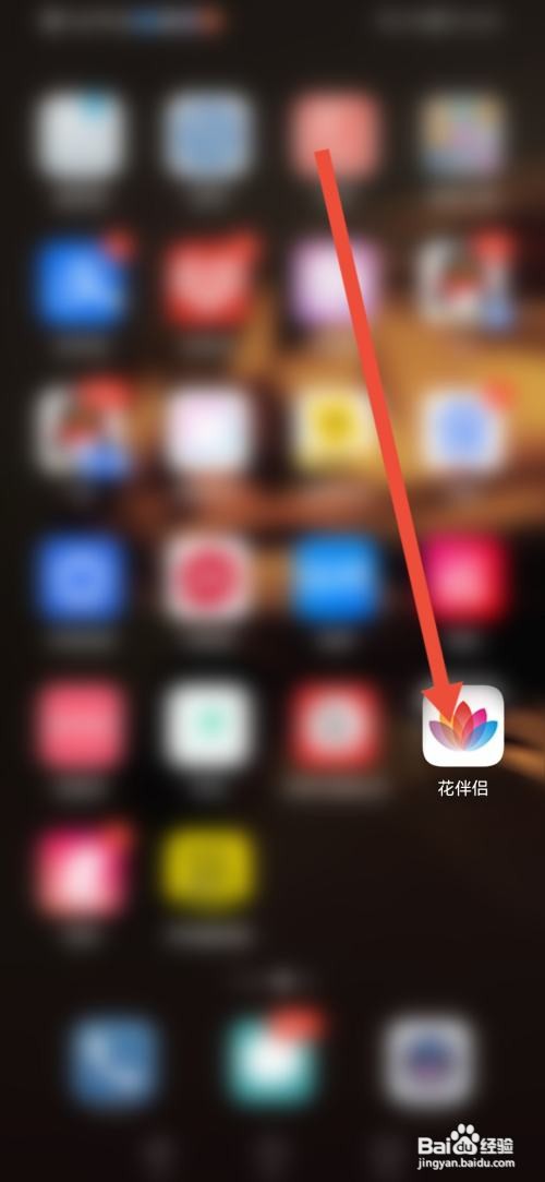 如何使用花伴侣APP设置所拍照片保存到相册？