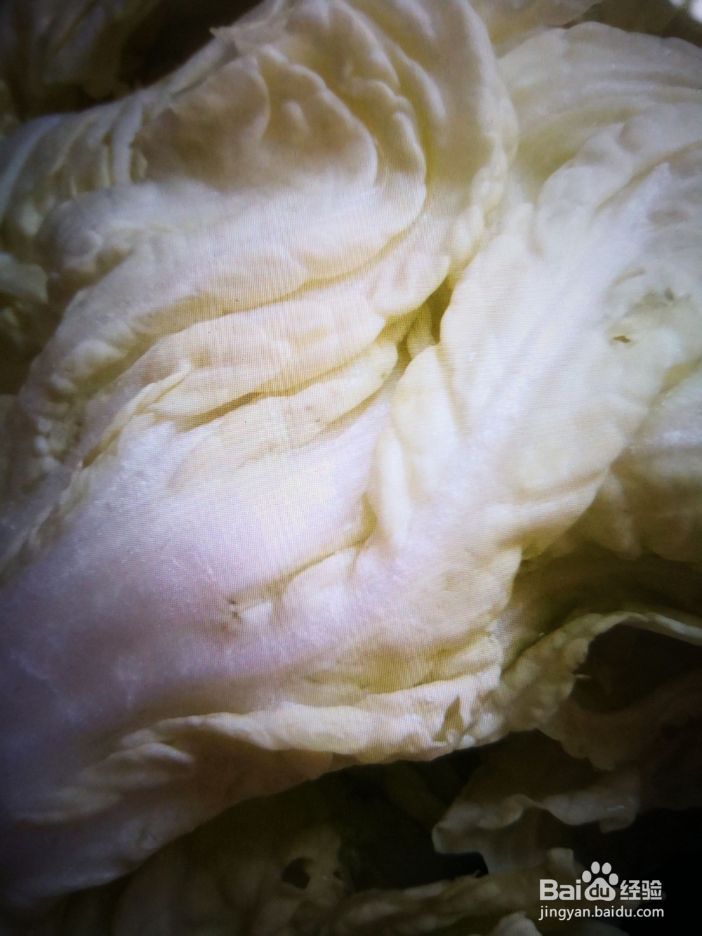 制作蟹味菇炖白菜攻略