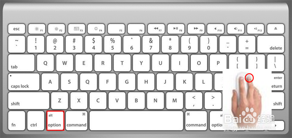 苹果电脑macbook怎样强制关闭软件