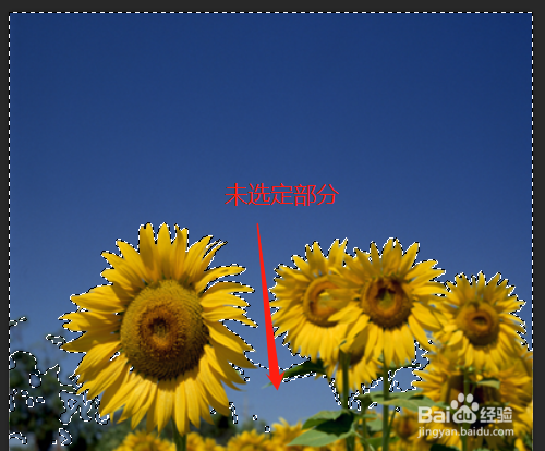 PSCC 如何应用魔棒工具之实例操作