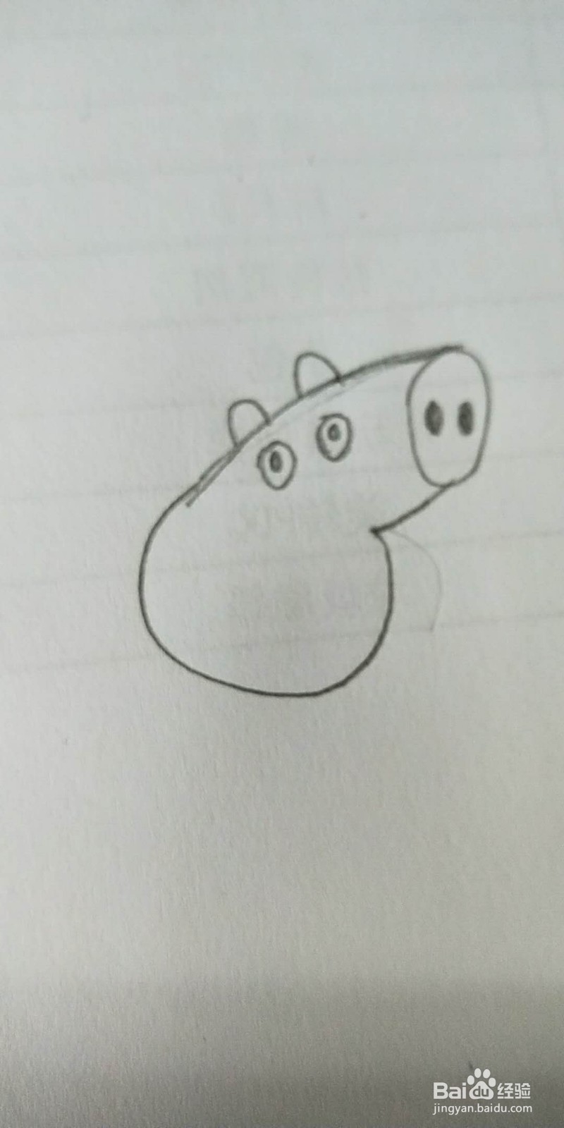 小猪佩奇简笔画教程