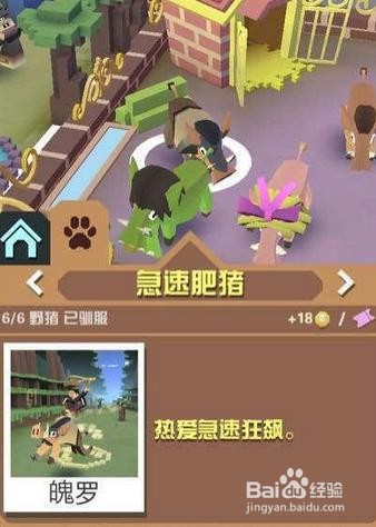 疯狂动物园攻略