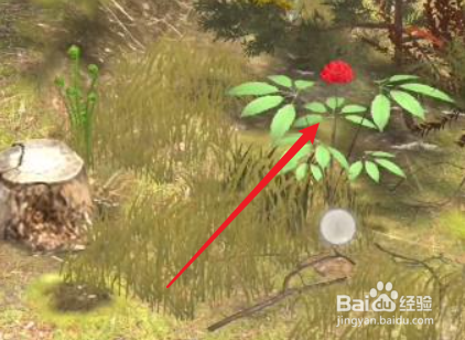 夺笋高手2-6的金色彩蛋