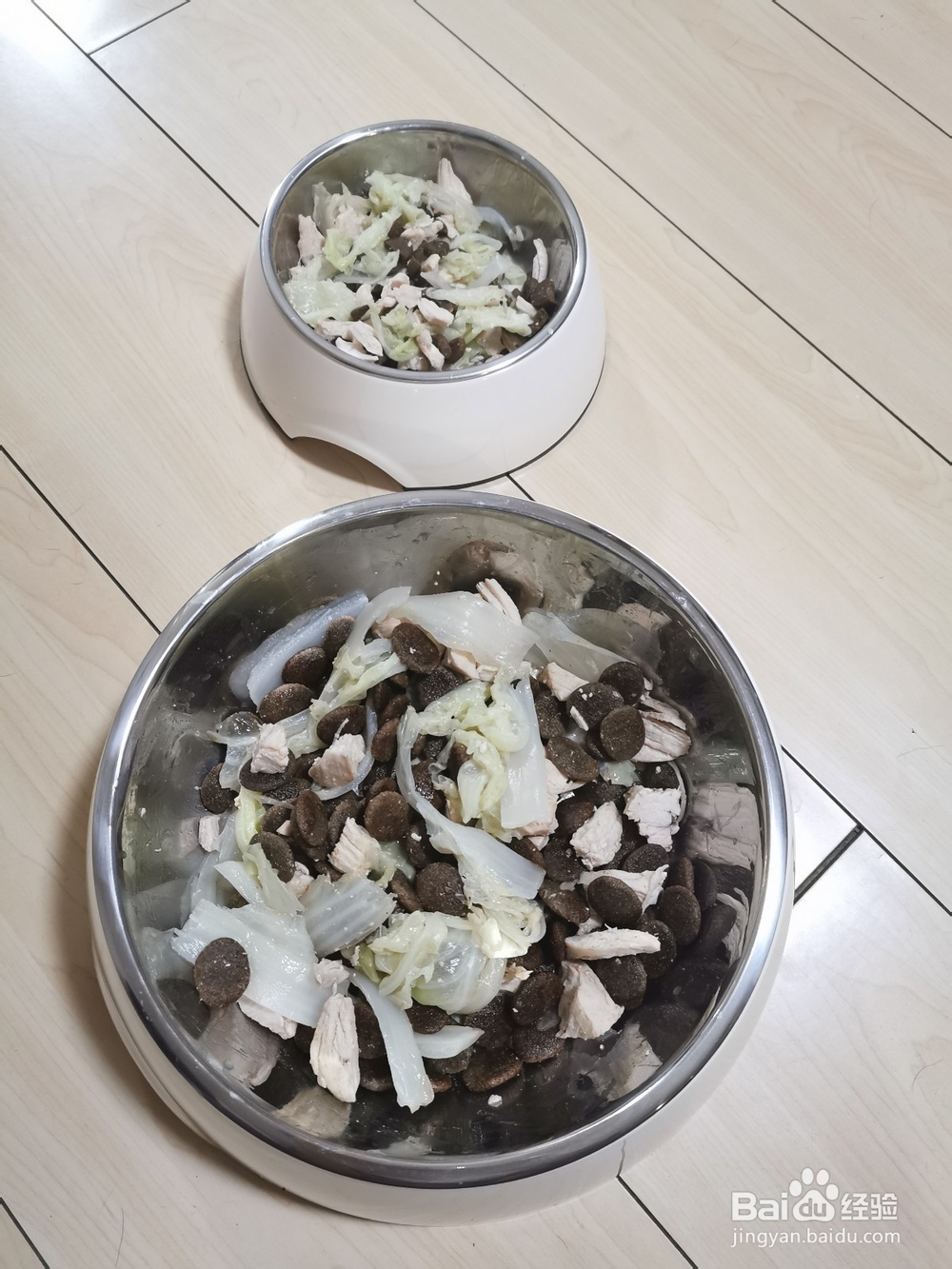 狗狗可以吃的几种食物,你要知道