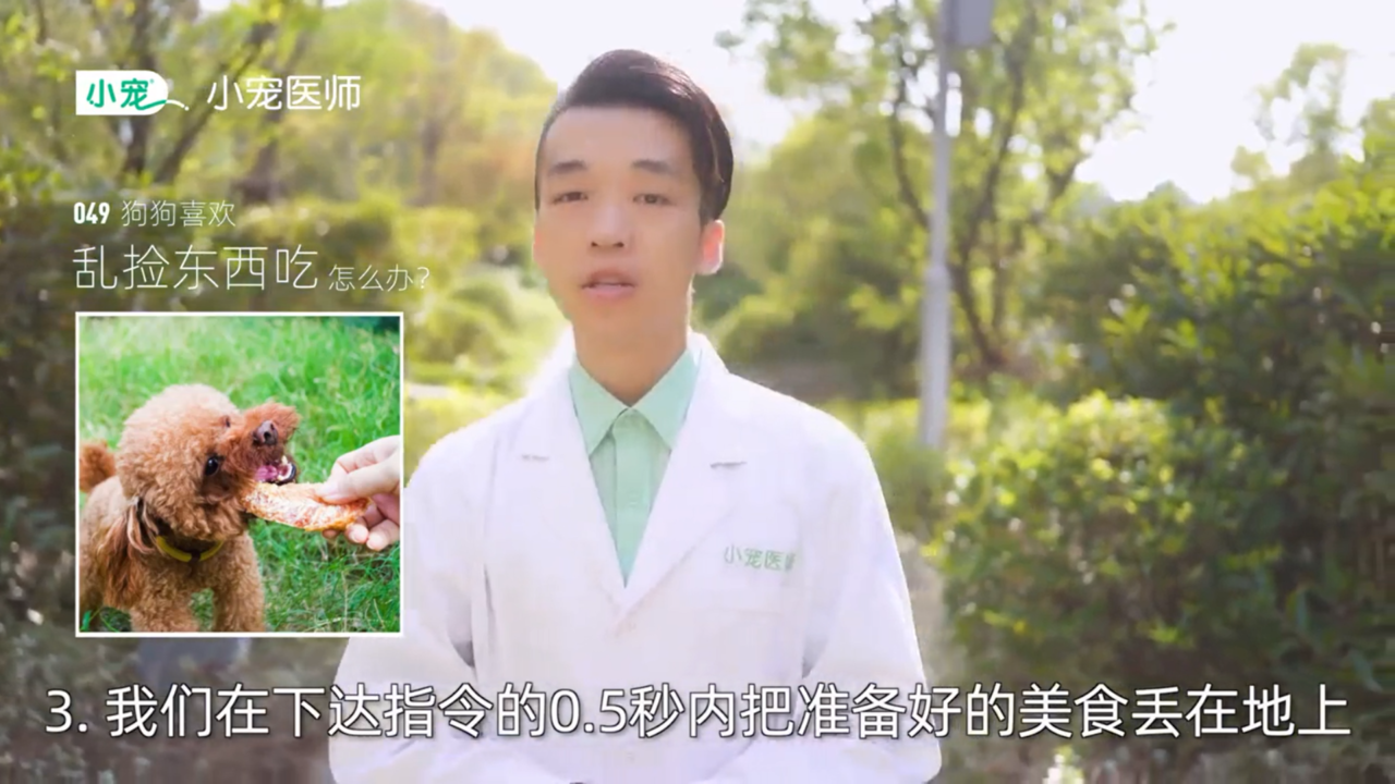狗狗乱捡东西吃怎么办