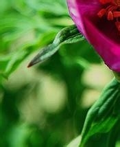 健康常识,你知道多少?2