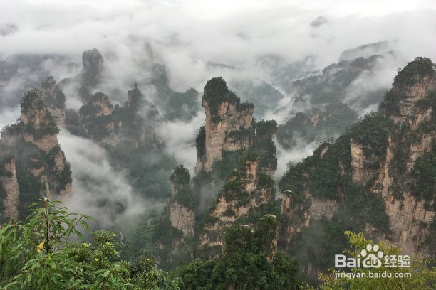 2019张家界旅游攻略