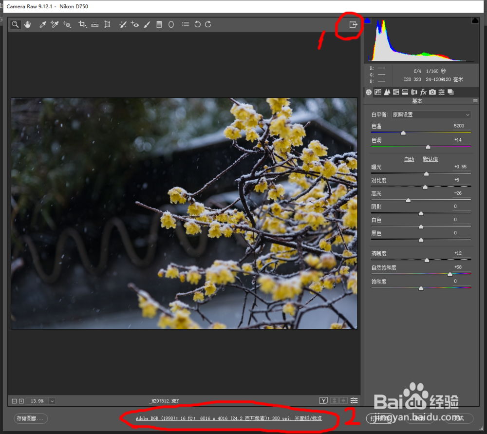 Camera Raw 9.3软件的设置