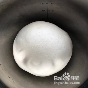 如何制作天然酵母全麦吐司