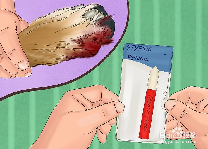 如何给狗狗的趾甲床止血