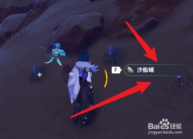 沙脂蛹怎么采集