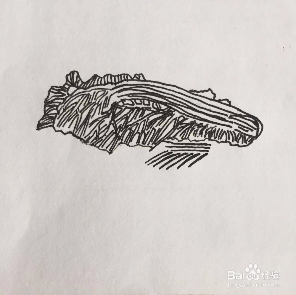 茉莉手绘之白菜与豆腐