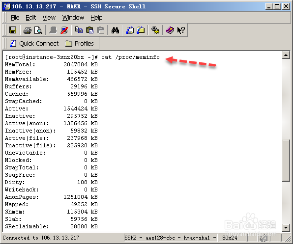 Linux如何查看内存使用情况